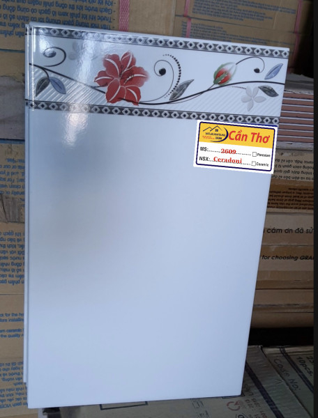 CERADONI 2609