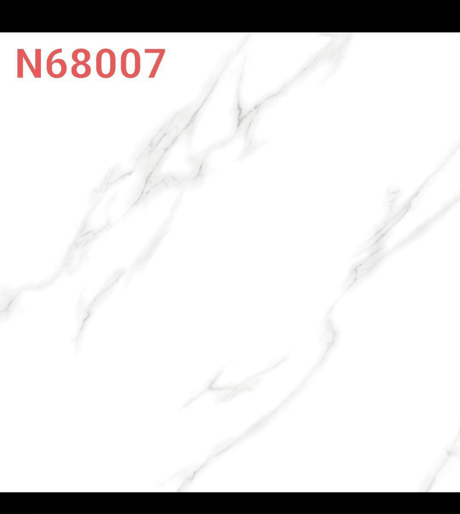 N68007