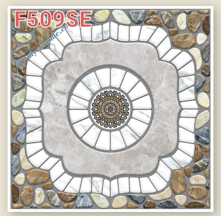 F509 SE
