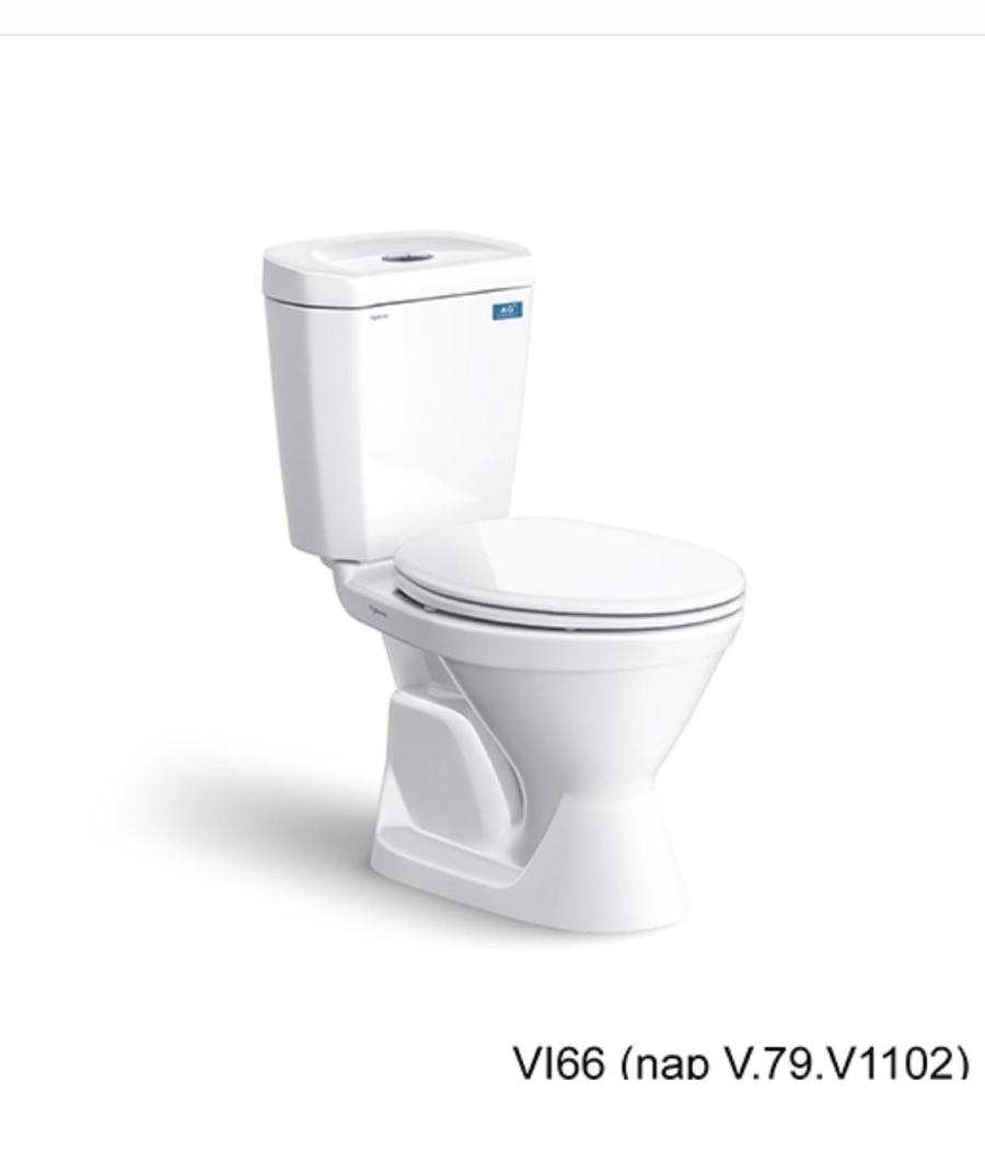 Cầu Trẻ Em VI6