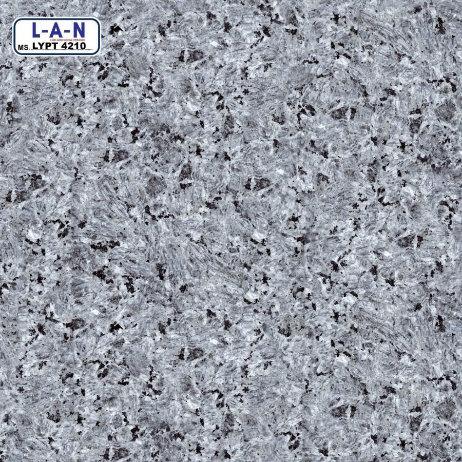 Nhà Ý Lan LYPS 4210